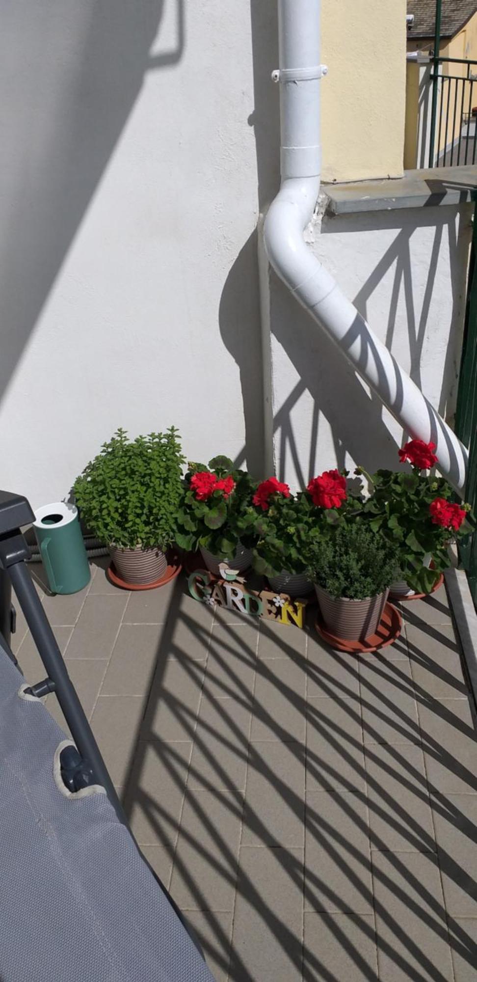 Aa Ciasea Duu Pintuu Riomaggiore Exterior foto